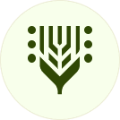 Made with 100% Whole Foods