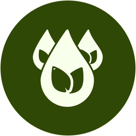 No low quality seed oils